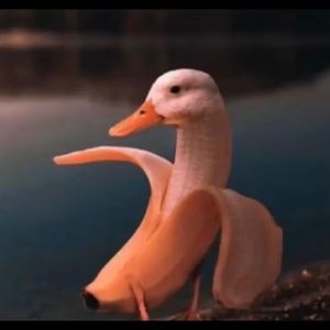 Meet your Posher, Jeff